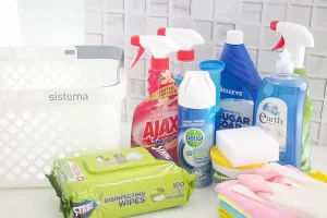 Essential-Supplies-for-a-Basic-Home-Cleaning-Kit-4